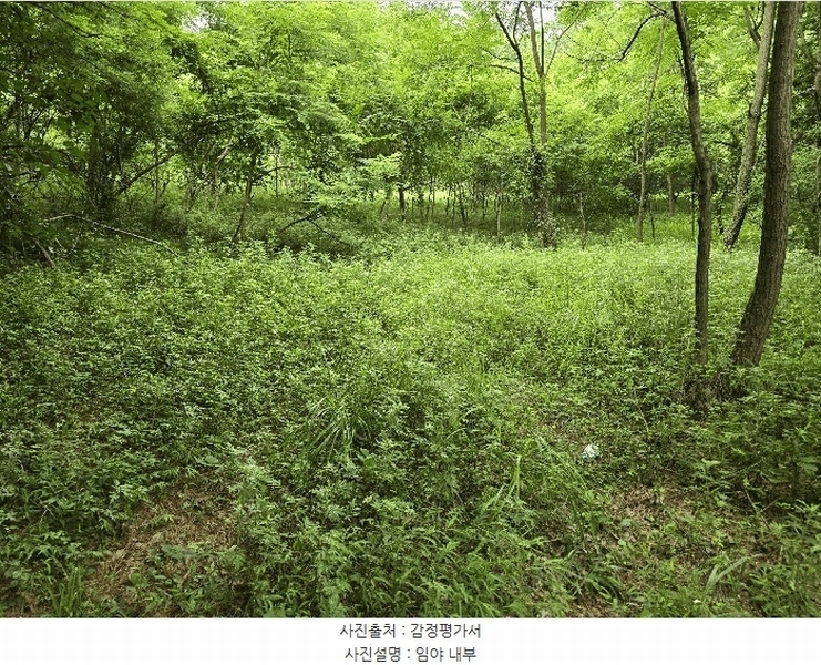 2025타경11948 충청남도 천안시 동남구 동면 죽계리 산60-4 임야 경매 이미지