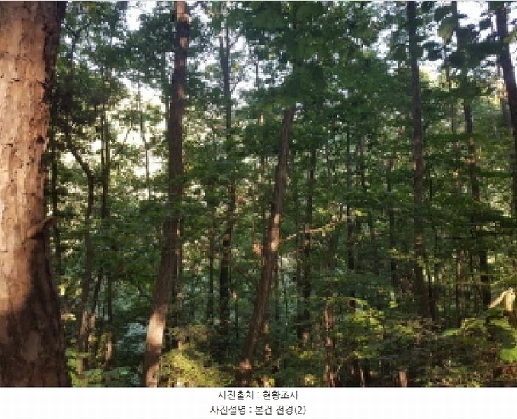 2025타경11948 충청남도 천안시 동남구 동면 죽계리 산60-4 임야 경매 이미지