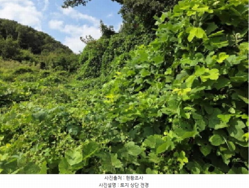 2025타경12263 충청남도 아산시 탕정면 호산리 460-6 농지 경매 이미지