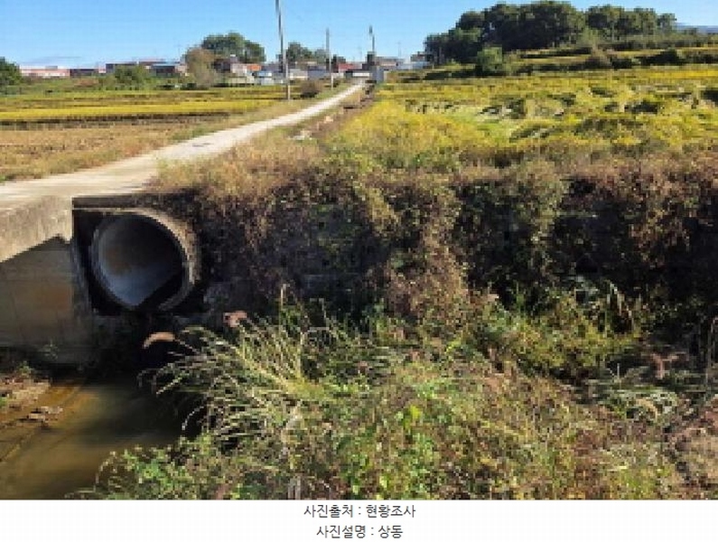 2025타경12491 충청남도 천안시 서북구 성거읍 모전리 413 농지 경매 이미지