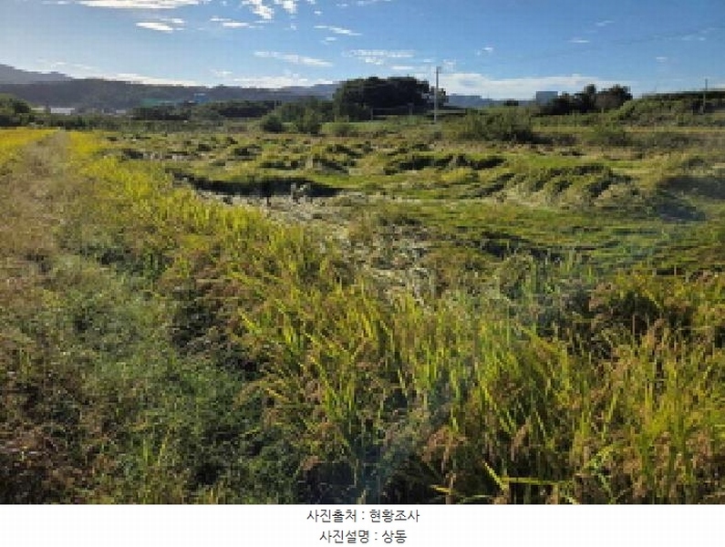 2025타경12491 충청남도 천안시 서북구 성거읍 모전리 413 농지 경매 이미지