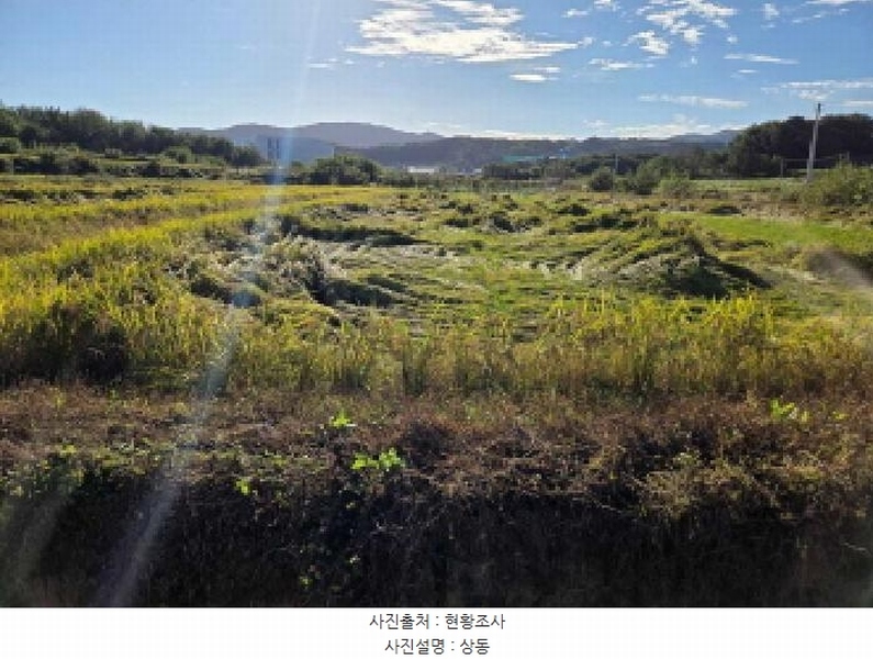 2025타경12491 충청남도 천안시 서북구 성거읍 모전리 413 농지 경매 이미지