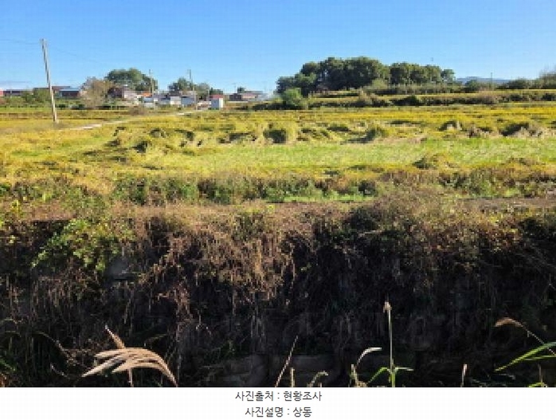 2025타경12491 충청남도 천안시 서북구 성거읍 모전리 413 농지 경매 이미지