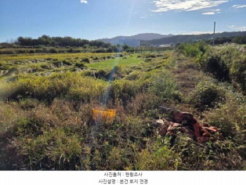 2025타경12491 충청남도 천안시 서북구 성거읍 모전리 413 농지 경매 이미지