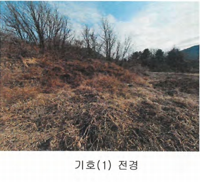 2020타경1853 충청남도 공주시 계룡면 하대리 260-11 농지 경매 이미지