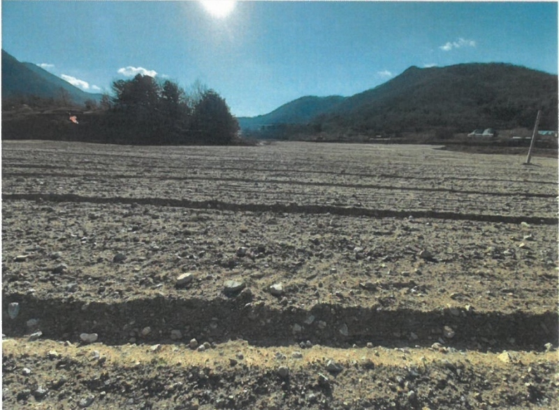 2020타경1853 충청남도 공주시 계룡면 하대리 260-11 농지 경매 이미지
