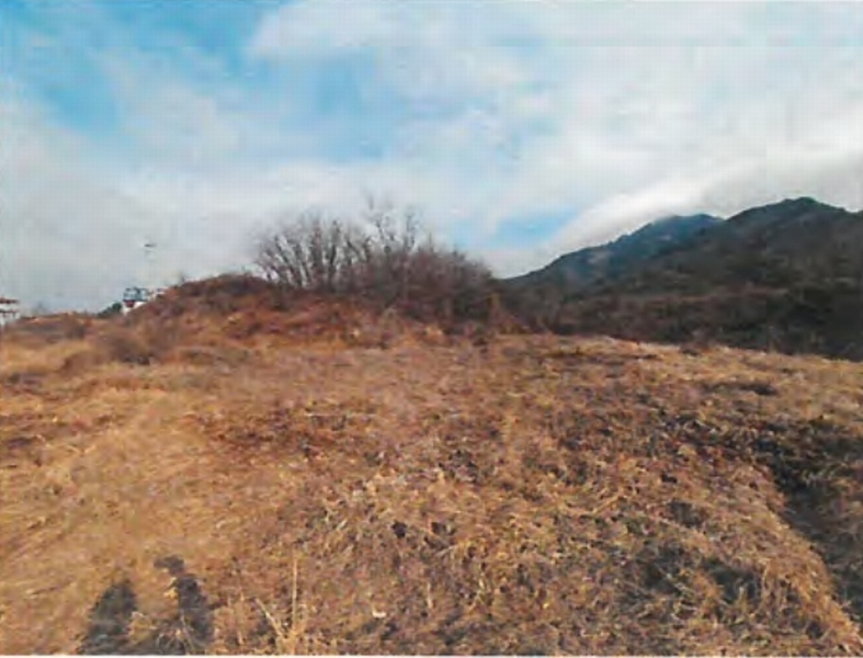 2020타경1853 충청남도 공주시 계룡면 하대리 260-11 농지 경매 이미지