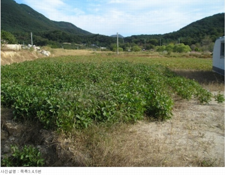 2020타경1853 충청남도 공주시 계룡면 하대리 260-11 농지 경매 이미지