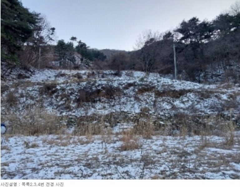 2022타경21936 충청남도 공주시 유구읍 문금리 480-11 유지 경매 이미지