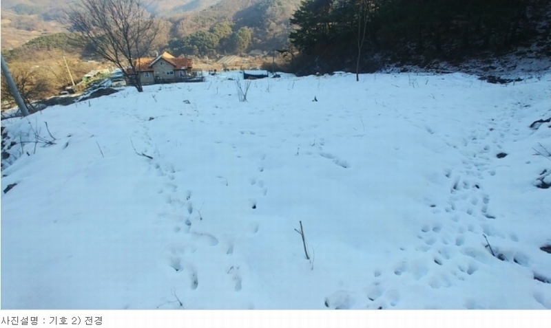 2022타경21936 충청남도 공주시 유구읍 문금리 480-11 유지 경매 이미지