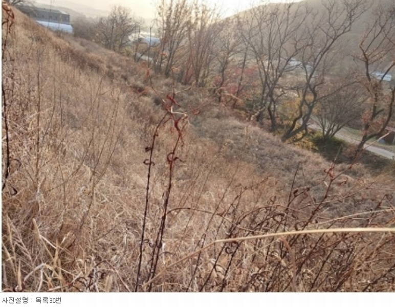 2023타경21933 충청남도 공주시 계룡면 중장리 272-47 임야 경매 이미지