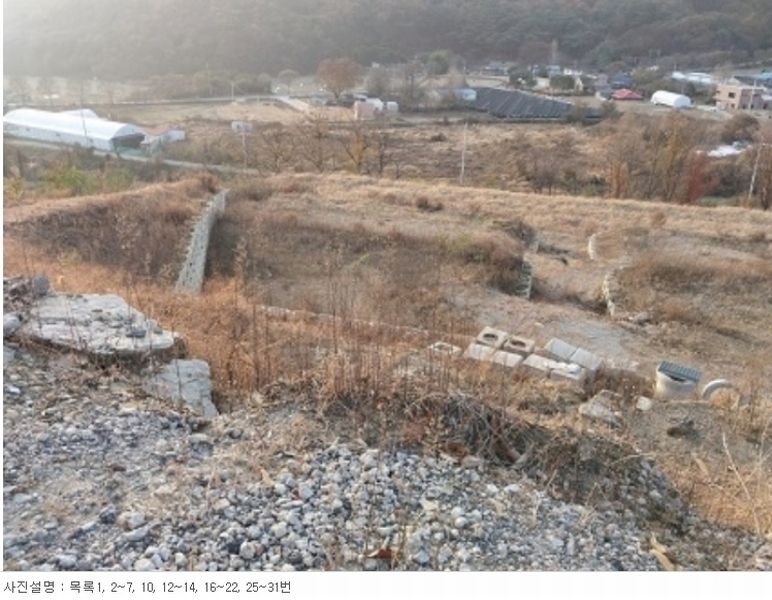 2023타경21933 충청남도 공주시 계룡면 중장리 272-47 임야 경매 이미지