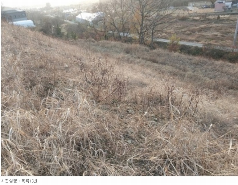 2023타경21933 충청남도 공주시 계룡면 중장리 272-47 임야 경매 이미지