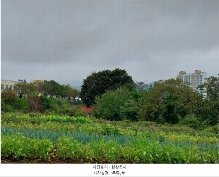 2024타경834 충청남도 청양군 청양읍 벽천리 77-1 농지 경매 이미지
