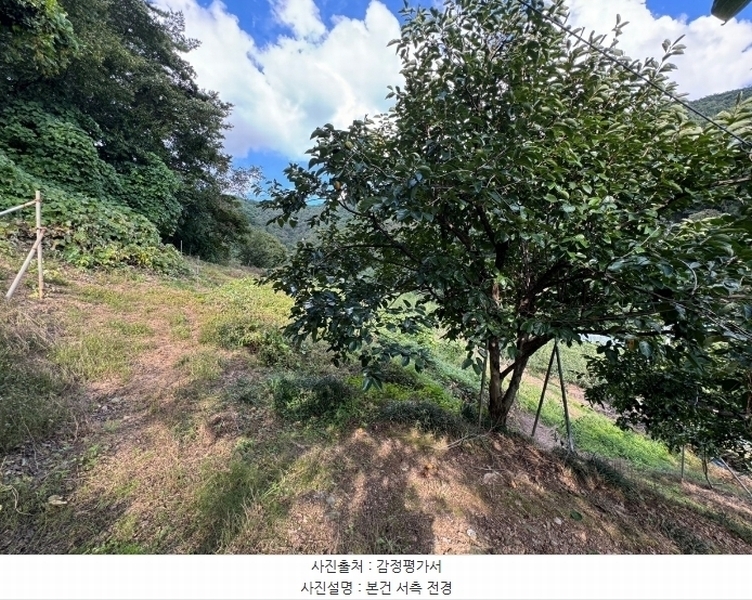 2024타경1141 충청남도 공주시 유구읍 녹천리 363-4 농지 경매 이미지