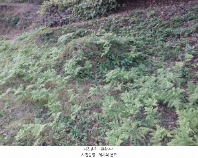 2024타경1141 충청남도 공주시 유구읍 녹천리 363-4 농지 경매 이미지