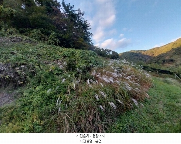 2024타경1141 충청남도 공주시 유구읍 녹천리 363-4 농지 경매 이미지