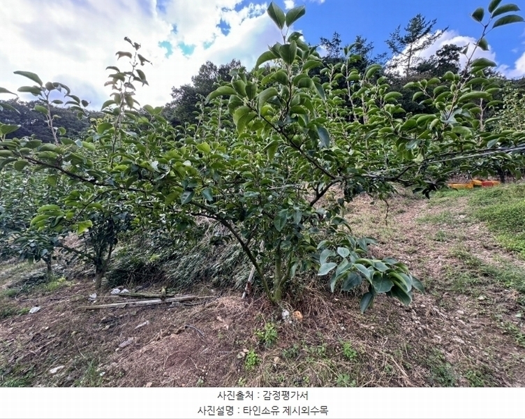 2024타경1141 충청남도 공주시 유구읍 녹천리 363-4 농지 경매 이미지