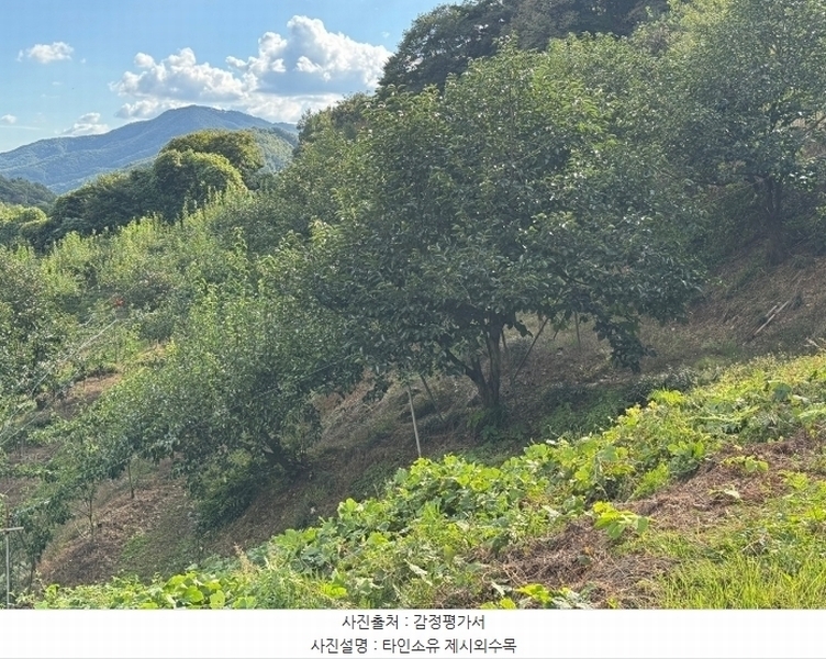 2024타경1141 충청남도 공주시 유구읍 녹천리 363-4 농지 경매 이미지