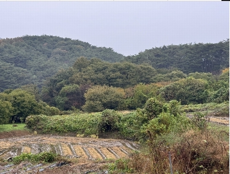 2024타경1233 충청남도 청양군 화성면 구재리 87 농지 경매 이미지
