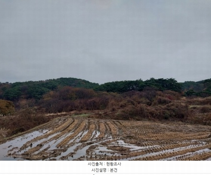 2024타경1233 충청남도 청양군 화성면 구재리 87 농지 경매 이미지