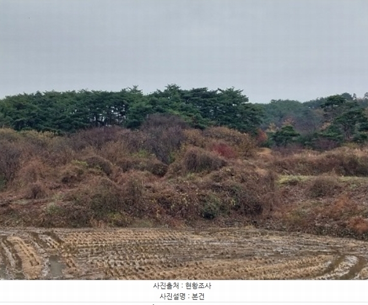 2024타경1233 충청남도 청양군 화성면 구재리 87 농지 경매 이미지