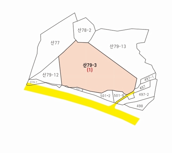 2024타경1349 충청남도 공주시 무릉동 산79-3 임야 경매 이미지