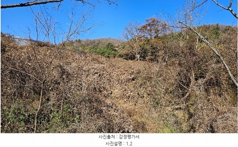 2024타경1448 충청남도 공주시 우성면 동대리 산44-10 임야 경매 이미지