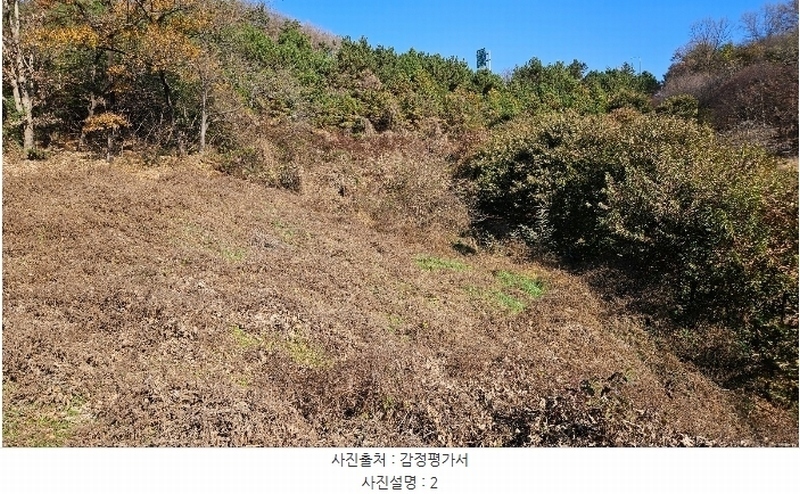 2024타경1448 충청남도 공주시 우성면 동대리 산44-10 임야 경매 이미지