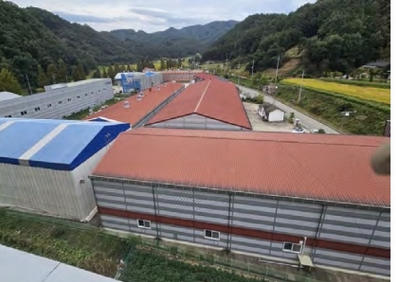 2024타경21923 충청남도 공주시 유구읍 백교리 613 공장 경매 이미지