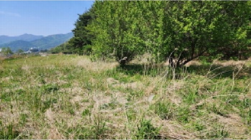 2025타경11644 울산광역시 울주군 상북면 궁근정리 152 농지 경매 이미지