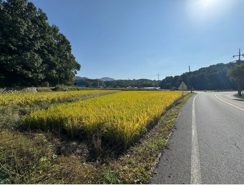 2024타경21992 충청남도 청양군 비봉면 방한리 547-1 농지 경매 이미지