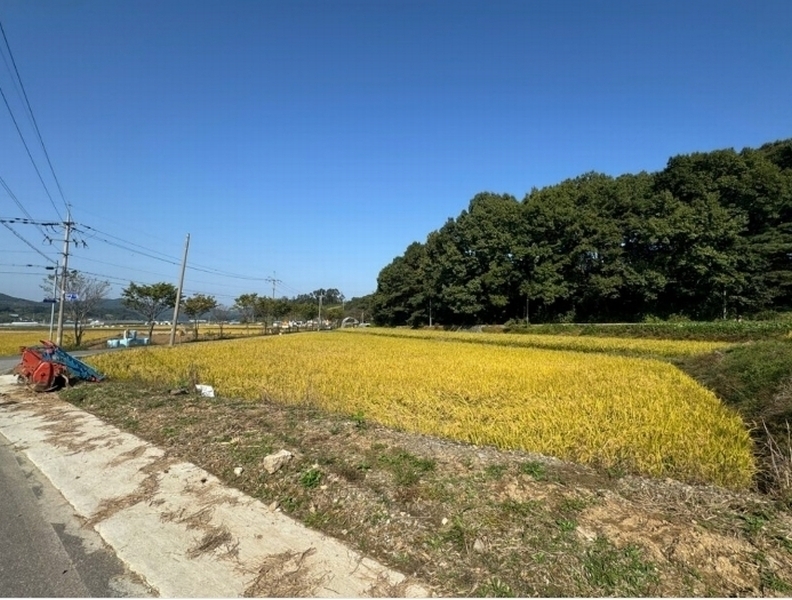 2024타경21992 충청남도 청양군 비봉면 방한리 547-1 농지 경매 이미지