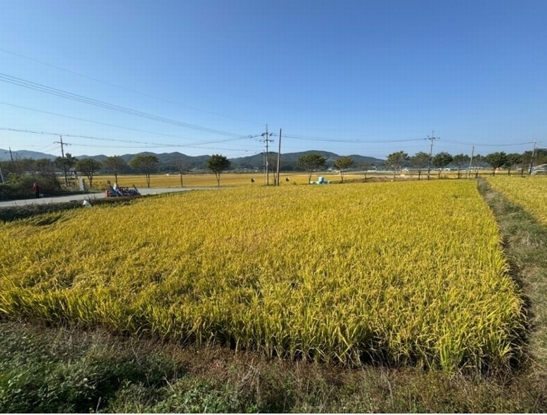 2024타경21992 충청남도 청양군 비봉면 방한리 547-1 농지 경매 이미지