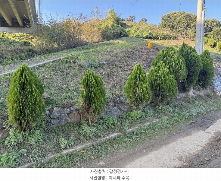 2024타경22131 충청남도 공주시 정안면 어물리 12-1 임야 경매 이미지