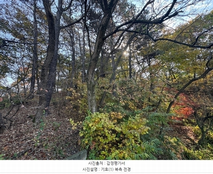 2024타경22193 충청남도 공주시 반포면 봉곡리 305-2 임야 경매 이미지
