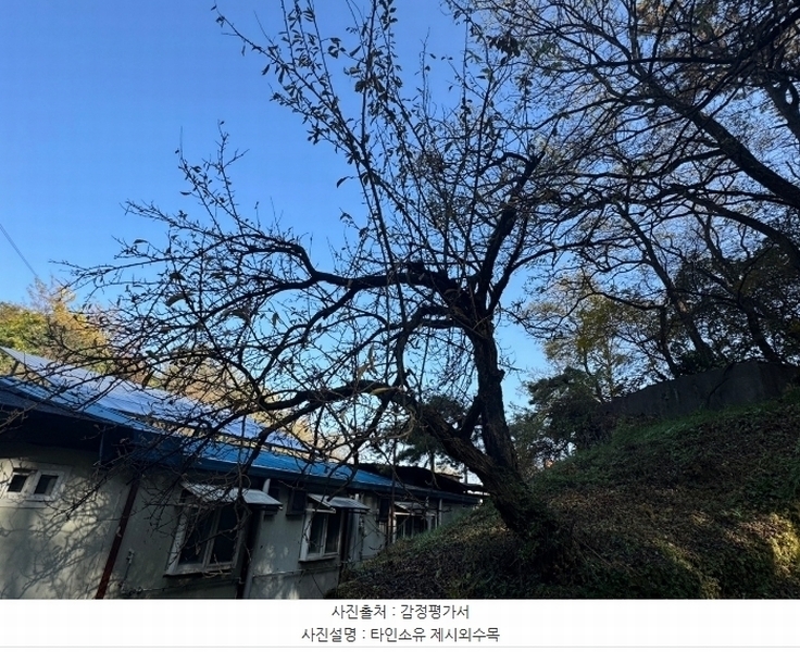 2024타경22193 충청남도 공주시 반포면 봉곡리 305-2 임야 경매 이미지