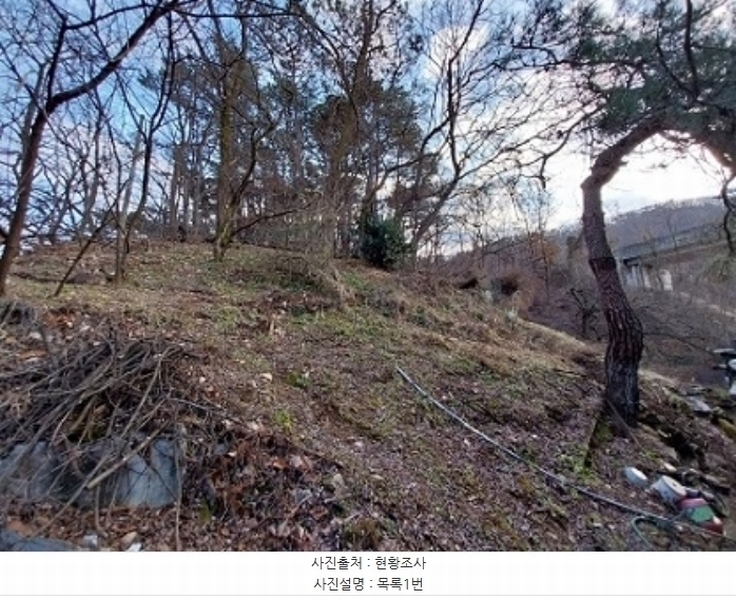 2024타경22193 충청남도 공주시 반포면 봉곡리 305-2 임야 경매 이미지