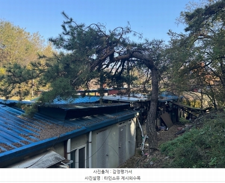 2024타경22193 충청남도 공주시 반포면 봉곡리 305-2 임야 경매 이미지