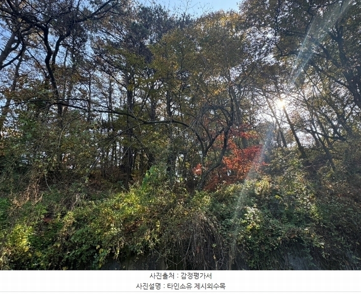 2024타경22193 충청남도 공주시 반포면 봉곡리 305-2 임야 경매 이미지