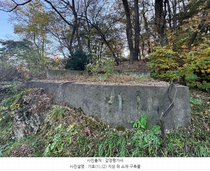 2024타경22193 충청남도 공주시 반포면 봉곡리 305-2 임야 경매 이미지