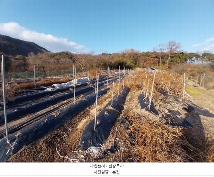 2024타경22254 충청남도 청양군 청남면 동강리 363-1 농지 경매 이미지