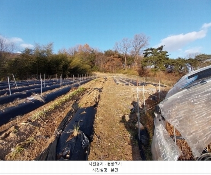 2024타경22254 충청남도 청양군 청남면 동강리 363-1 농지 경매 이미지