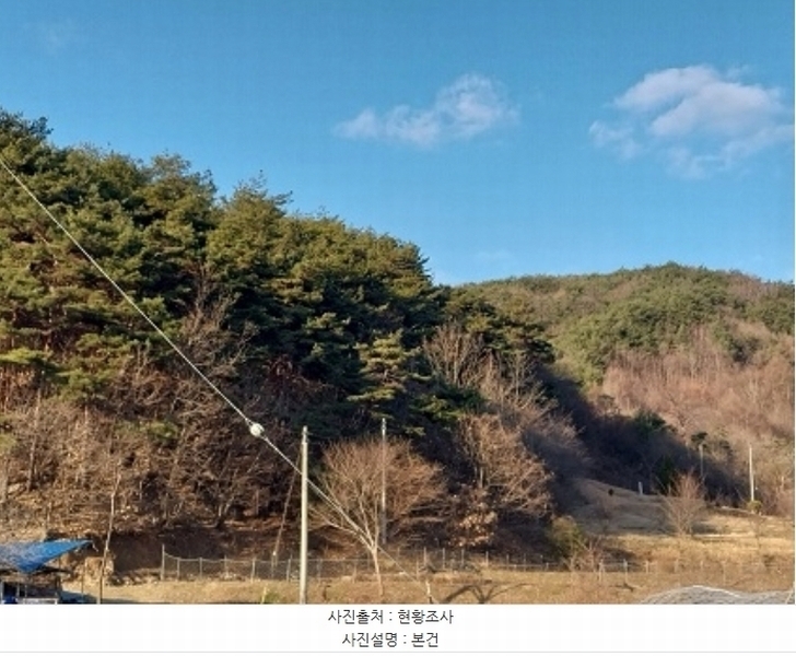 2024타경22308 충청남도 공주시 신풍면 봉갑리 산11 임야 경매 이미지