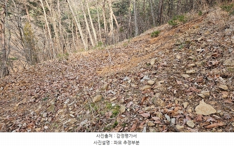 2024타경22308 충청남도 공주시 신풍면 봉갑리 산11 임야 경매 이미지