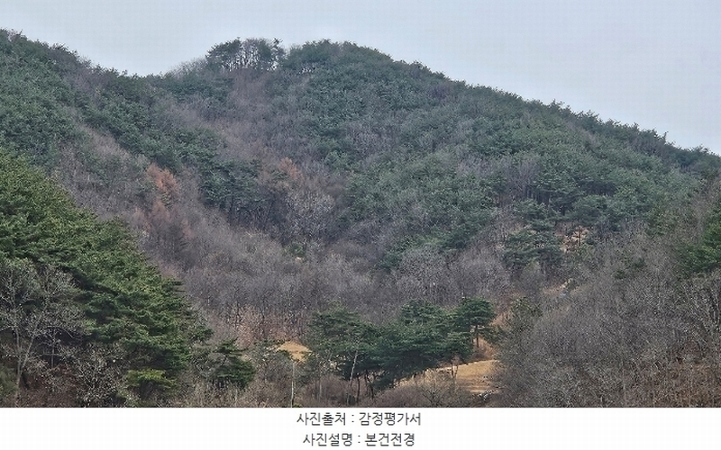 2024타경22308 충청남도 공주시 신풍면 봉갑리 산11 임야 경매 이미지
