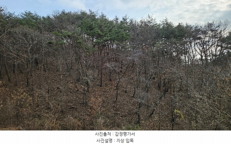 2024타경22308 충청남도 공주시 신풍면 봉갑리 산11 임야 경매 이미지