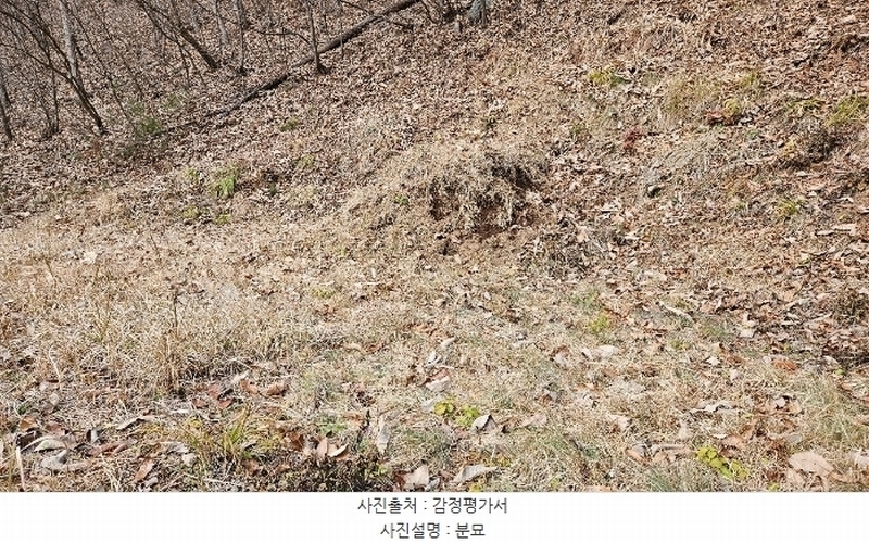 2024타경22308 충청남도 공주시 신풍면 봉갑리 산11 임야 경매 이미지