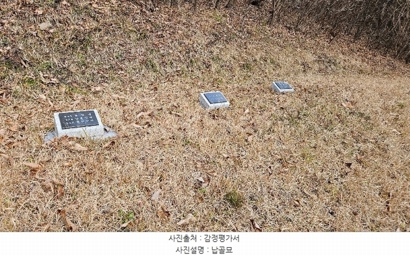 2024타경22308 충청남도 공주시 신풍면 봉갑리 산11 임야 경매 이미지