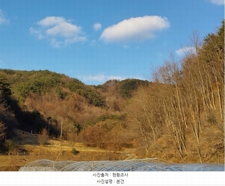2024타경22308 충청남도 공주시 신풍면 봉갑리 산11 임야 경매 이미지